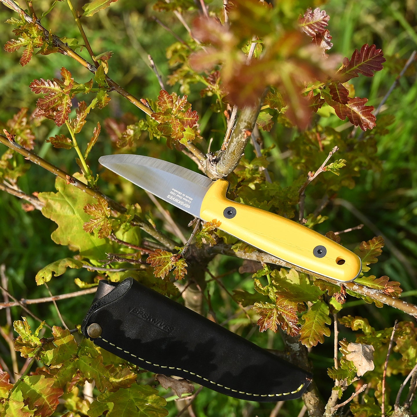 Yellow folding knife with black sheath on a branch
