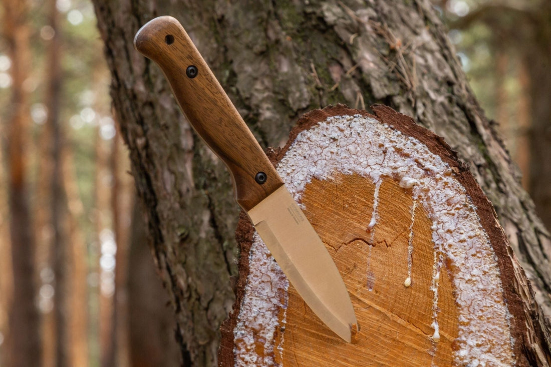 Bushcraft Traditions and Ethics: How Not to Harm Nature