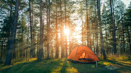 Spring Camping: Why It’s the Best Season to Camp