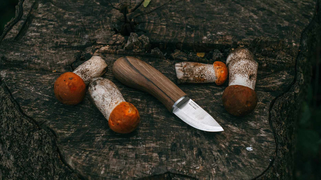 Should Mushrooms be Cut or Twisted? Exploring the Debate
