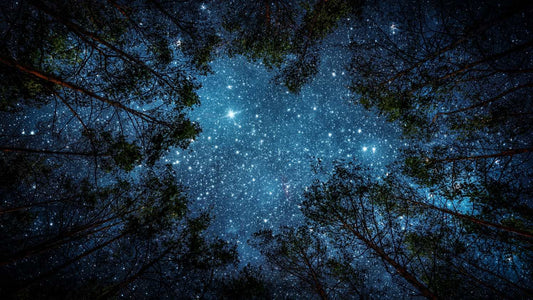 Night Navigation Tips for Hiking