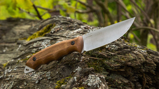 What is a Ricasso on a Knife? Understanding Its Purpose and Benefits