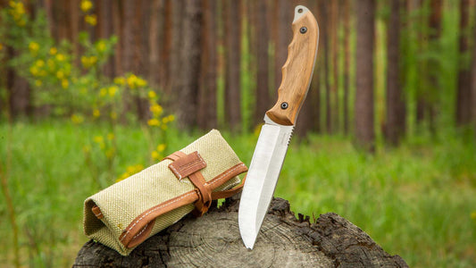 How To Test The Sharpness Of A Knife Safely