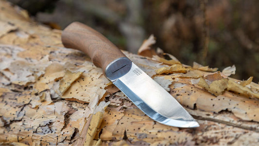 What Is a Knife Bolster? An Essential Part of Knife Design