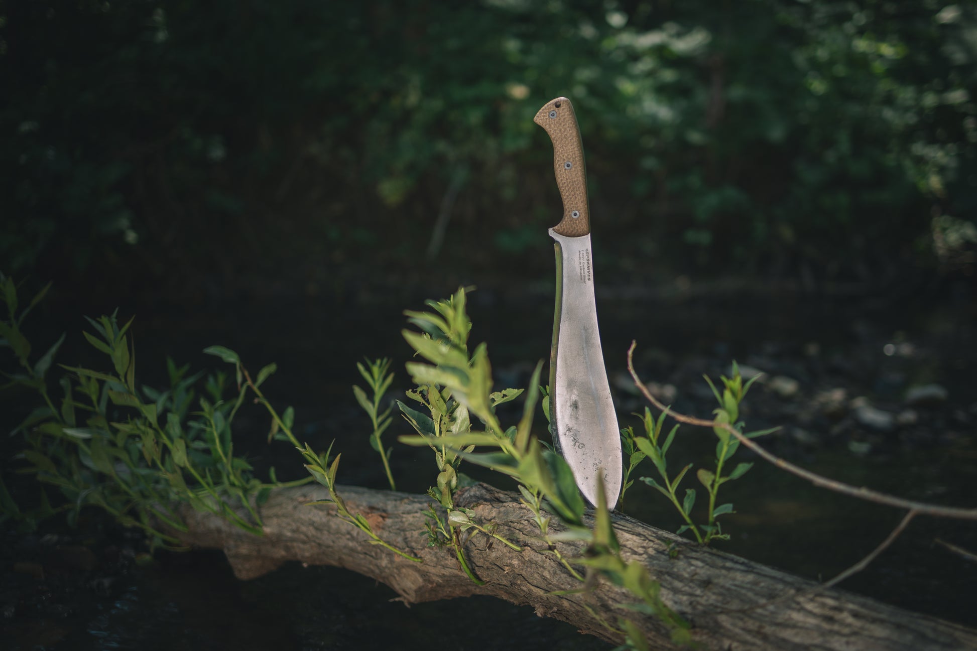 Knife with a wooden handle on a branch in a forest setting