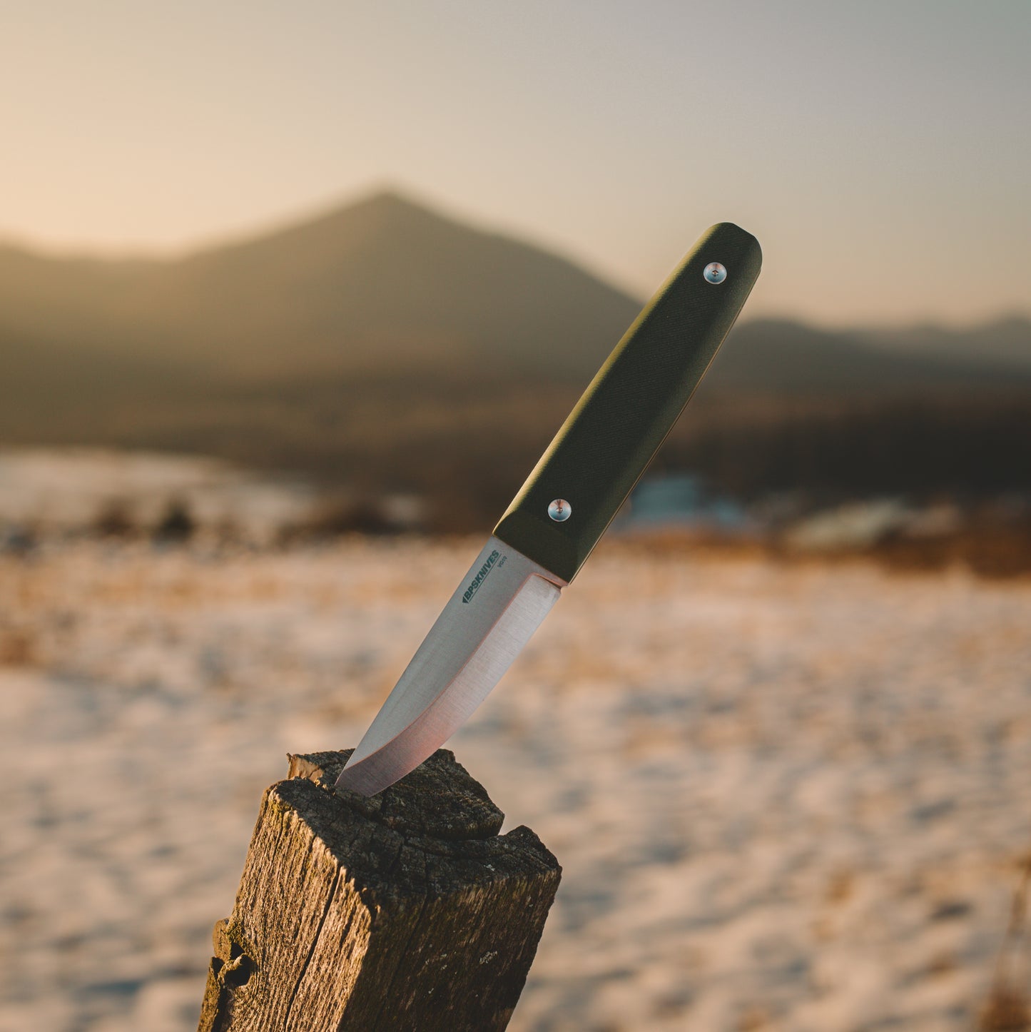 Knife stuck in a wooden post with a desert landscape in the background
