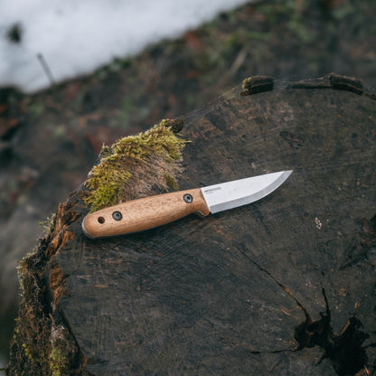 A small fixed-blade knife with a light wood handle and a silver steel blade rests diagonally on a mossy tree stump outdoors.