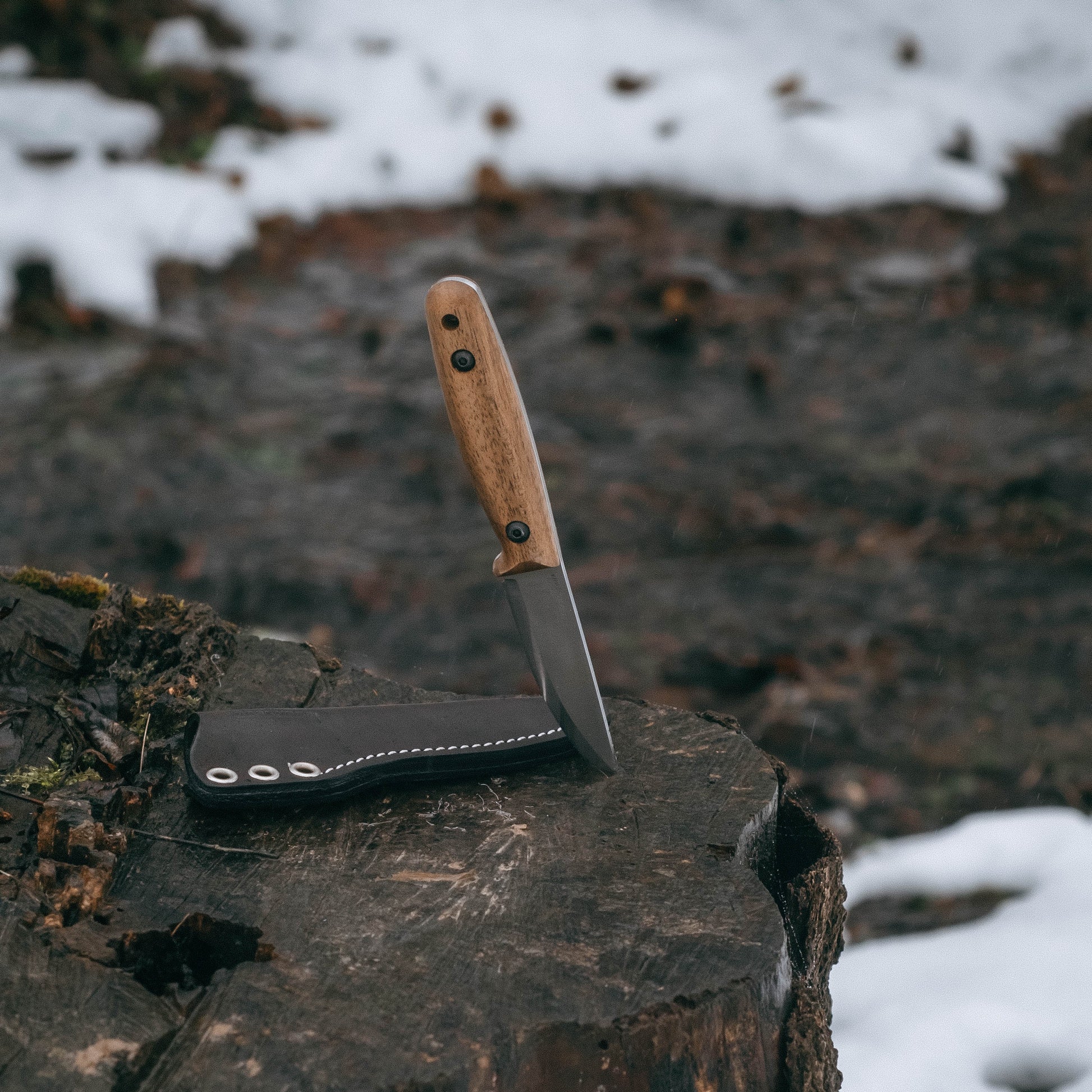 A fixed-blade knife with a light wood handle and dark steel blade is propped upright on a tree stump outdoors, with a black sheath beside it and a blurred snowy forest background.