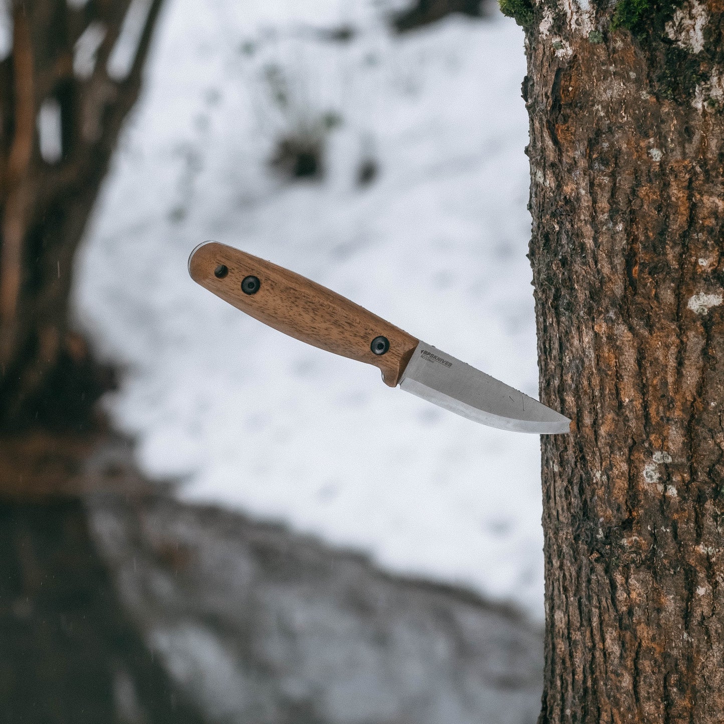 A fixed-blade knife with a brown wooden handle and a silver steel blade is shown embedded in a tree trunk outdoors, with snow and blurred forest in the background.